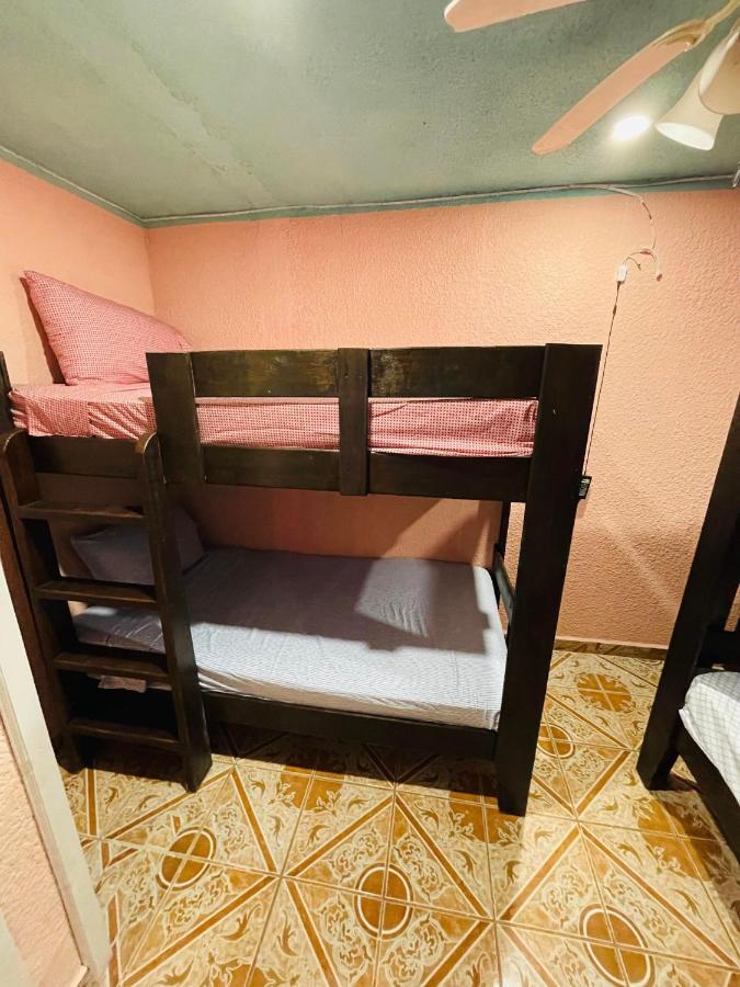 Forest View Apartment Six Huts Экстерьер фото